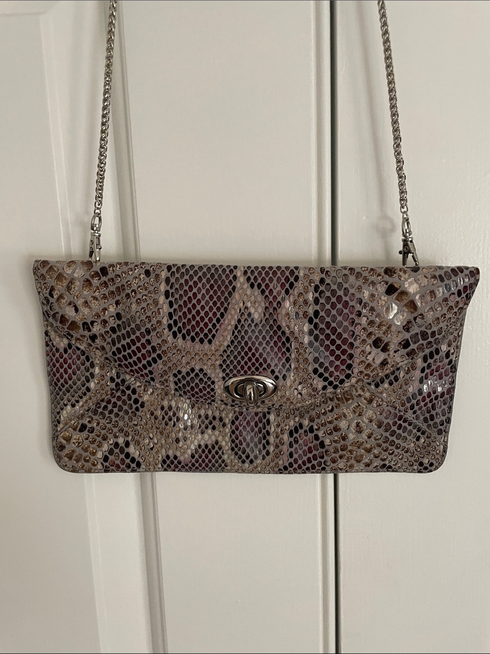 Sorial snakeskin purse